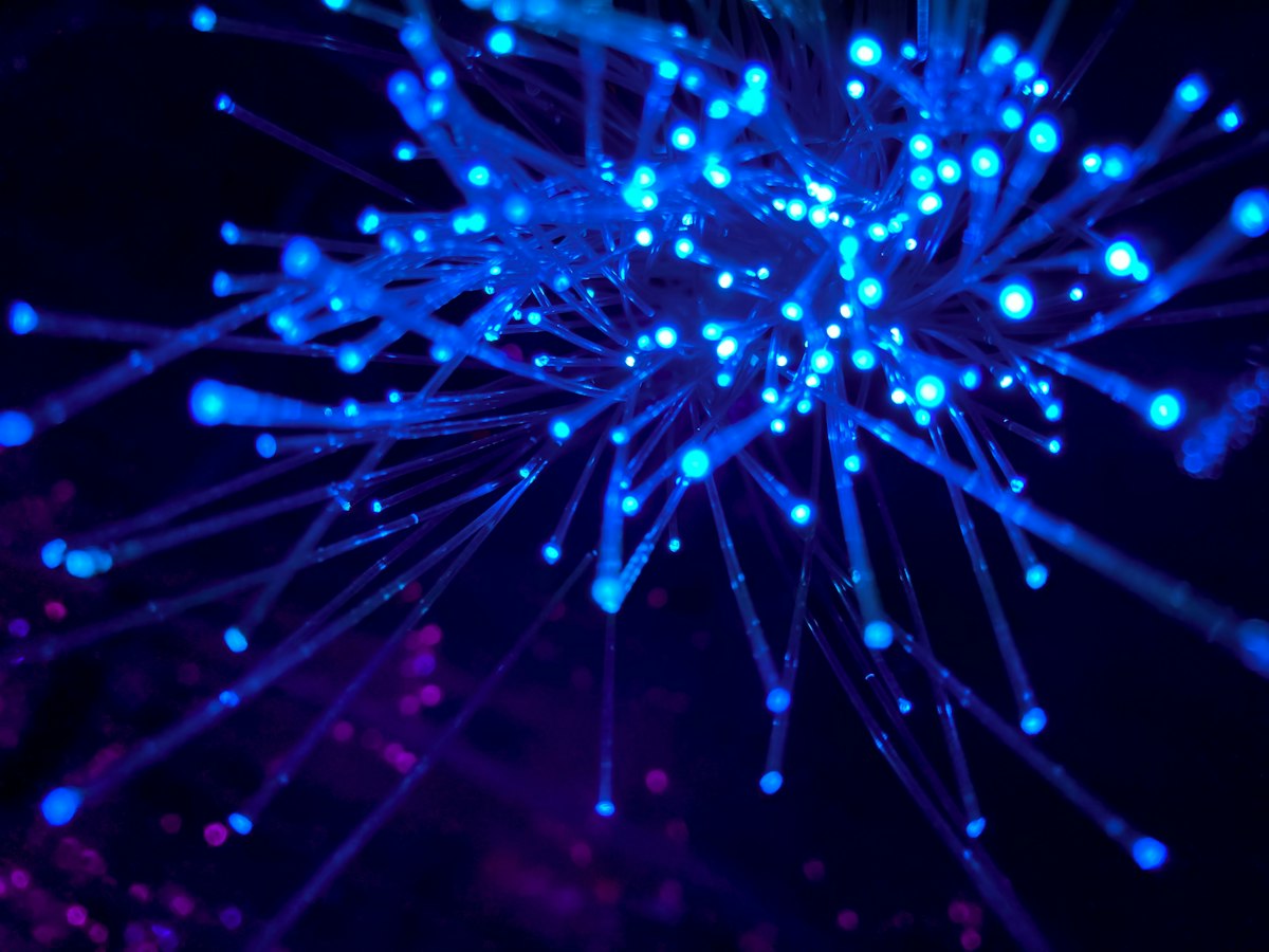edgesilicon_4_photo-1597733336794-12d05021d510